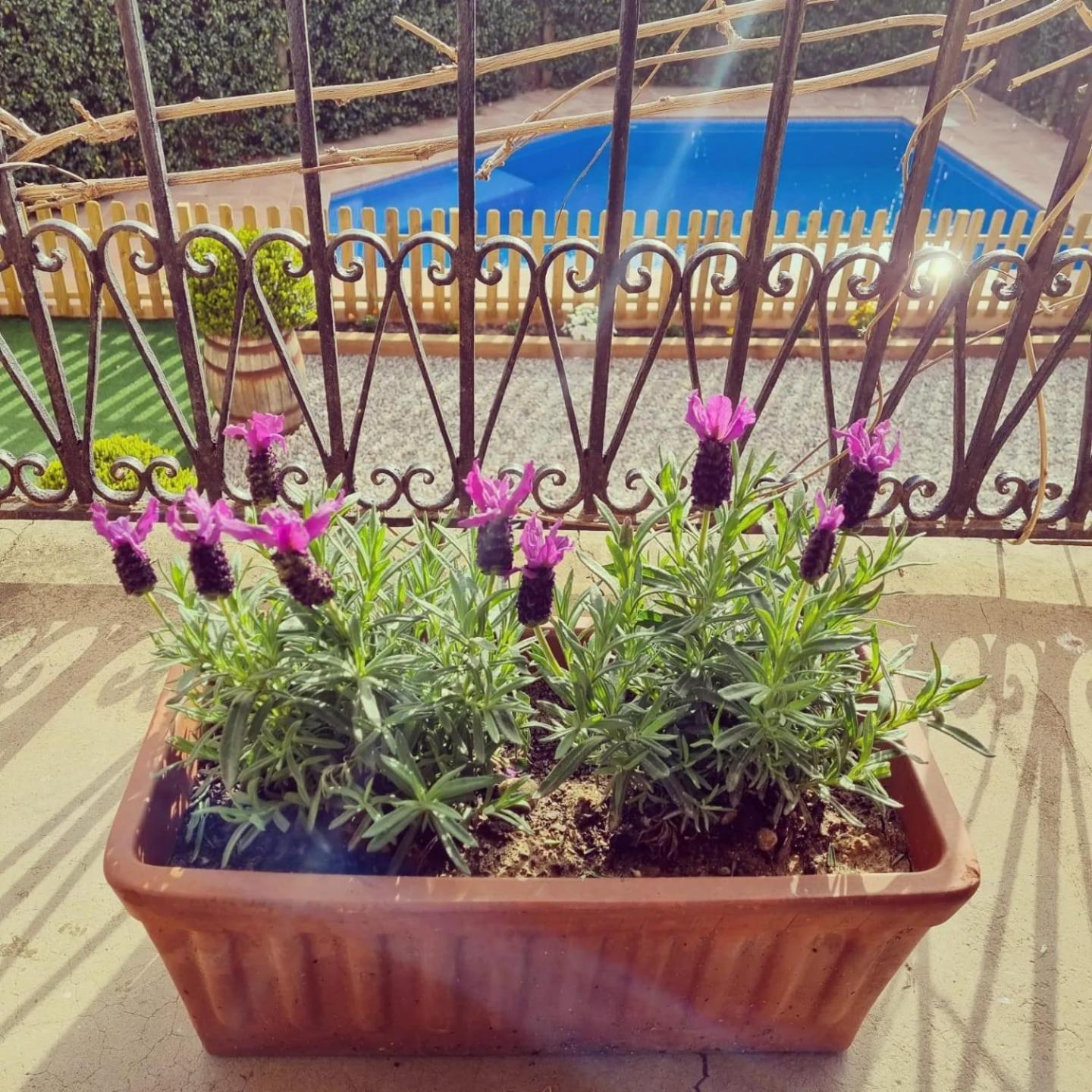 Casa Con Piscina Privada En Gualta, Can Blay Экстерьер фото
